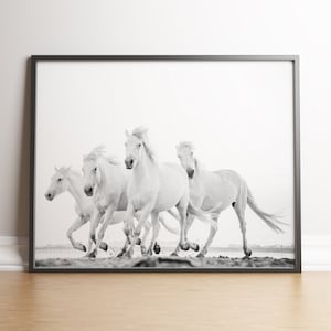 Pferde, Animal Art, Reise Digital Download Druck, schwarz weiß, Laufpferde, Pferdefotografie