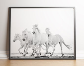 Running White Horses Photography Print, Black and White Animal Art (Digital Download)