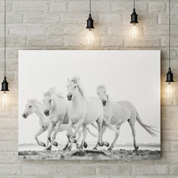 Laufpferde, Weiße Pferde, Pferdedruck, Pferd digitaler Download, Tierfotografie, Reisefotografie, Frankreich