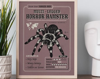 Funny Spider Wall Art - Know Your Multi Legged Horror Hamster (AKA Spider Poster) Funny Spider Art, Spider Fact File Poster, Spider Gift