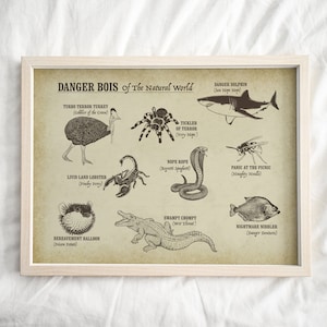 Divertida colección de animales cartel "Peligro Bois del mundo natural" - Cartel de animales divertidos, arte animal divertido, divertido cartel de nombres de animales