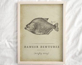 Funny Piranha Wall Art « Danger Dentures - Frighty Bitey » Funny Fish Poster, Fish Anatomy Art, vintage Animal Poster, vintage Fish Biology