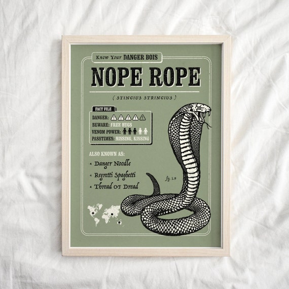 No Step On Snek - Funny - Posters and Art Prints