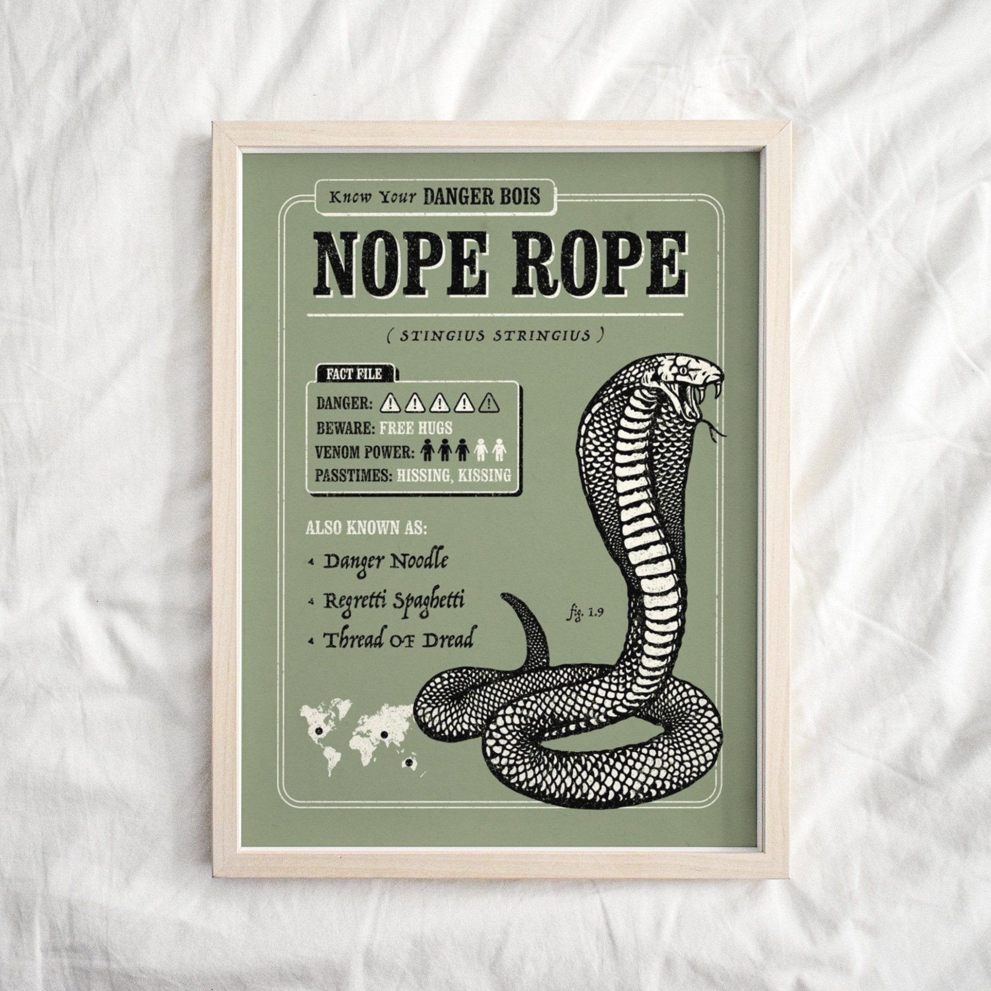 Funny Snake Fact File Poster – Nope Rope AKA Danger Noodle - Etsy