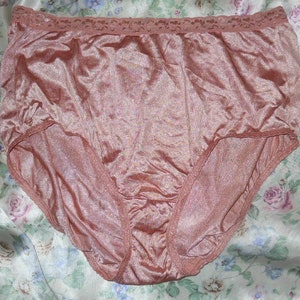 Hanes Womens Nylon Hi-Cut Underwear, 6-Pack Nepal
