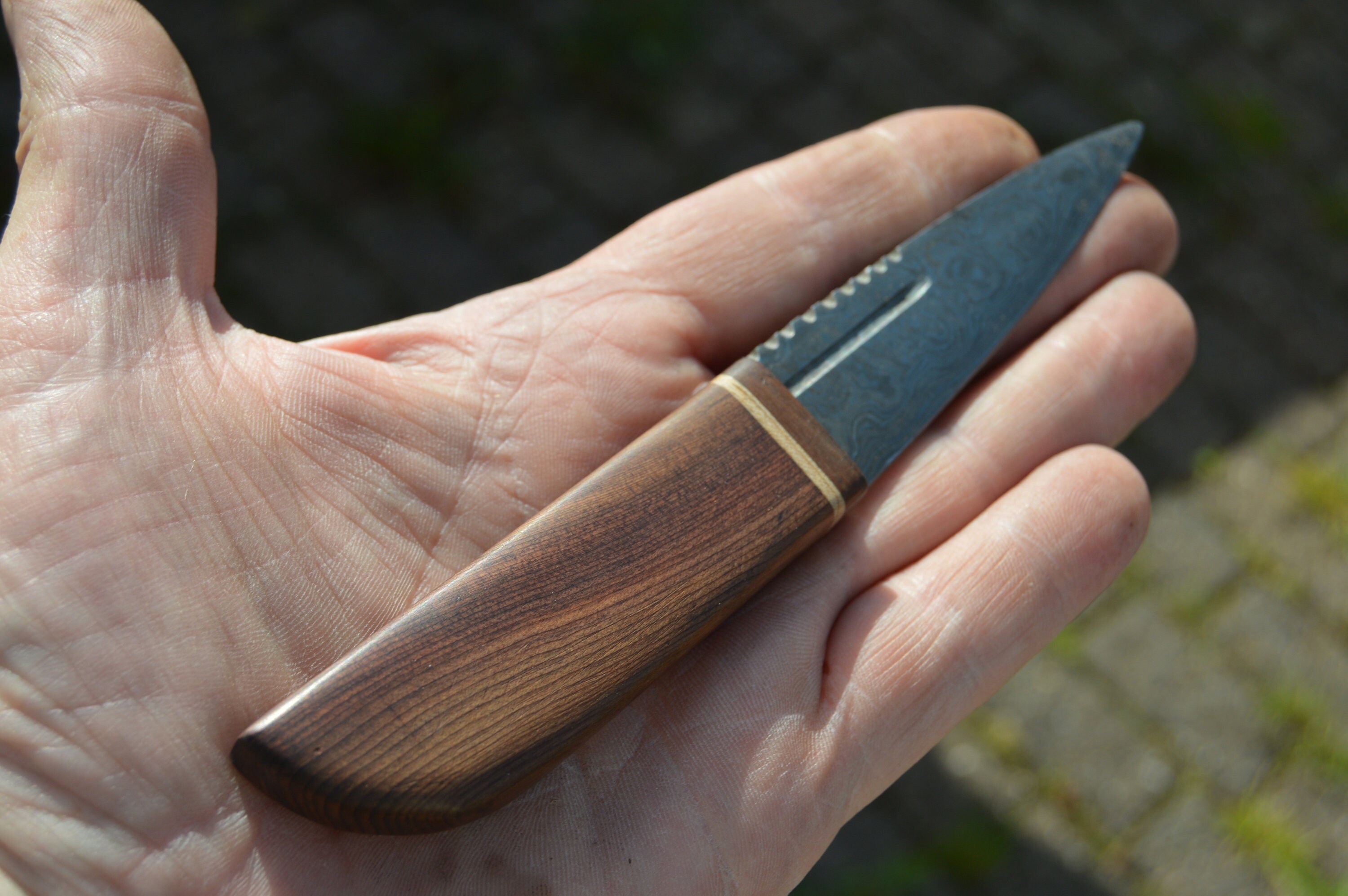 The Neolithic Bog Yew and Damascus Steel Sgian Dubh 3300 BC Bog