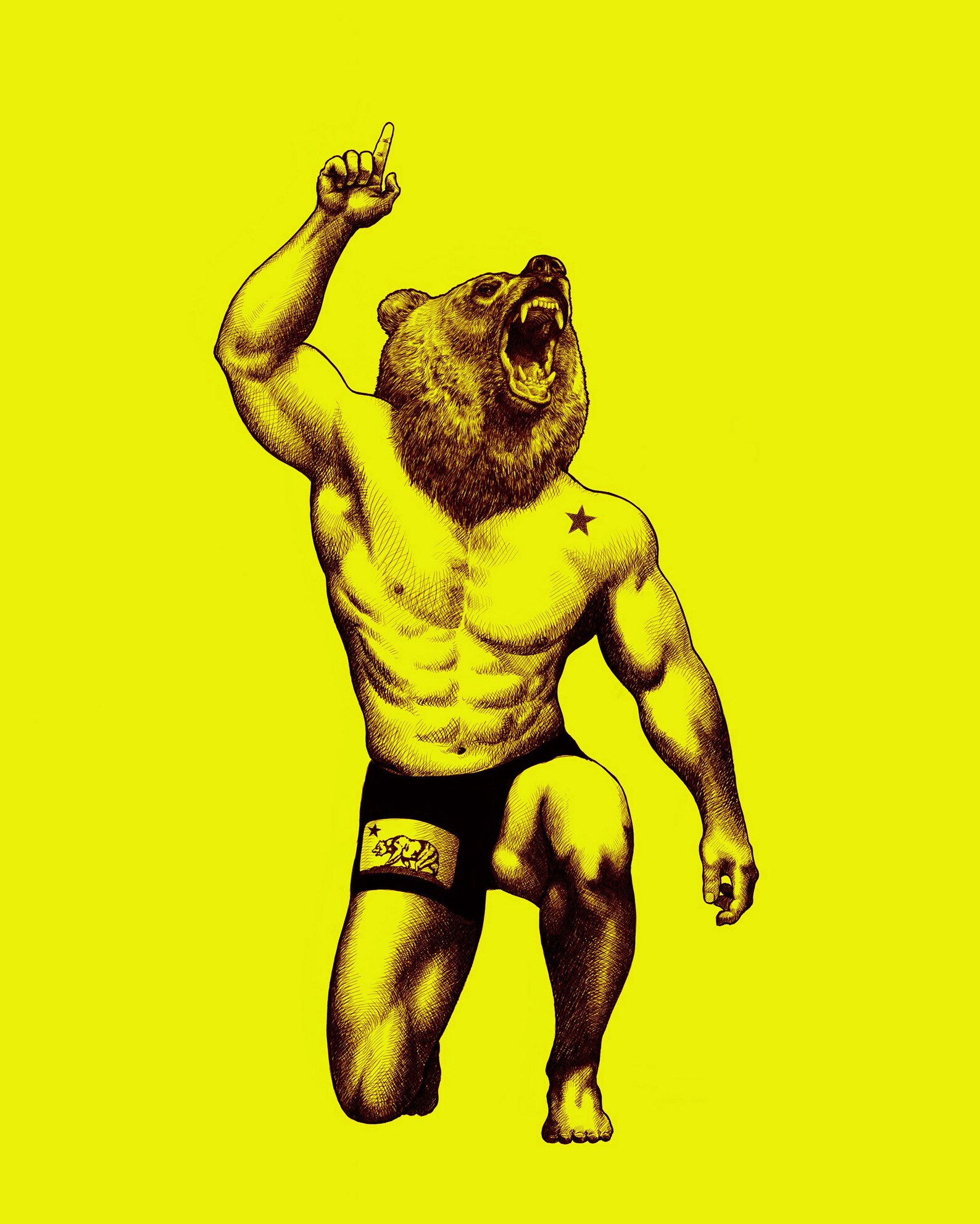 California bear jiu jitsu bjj judo and submissions Etsy