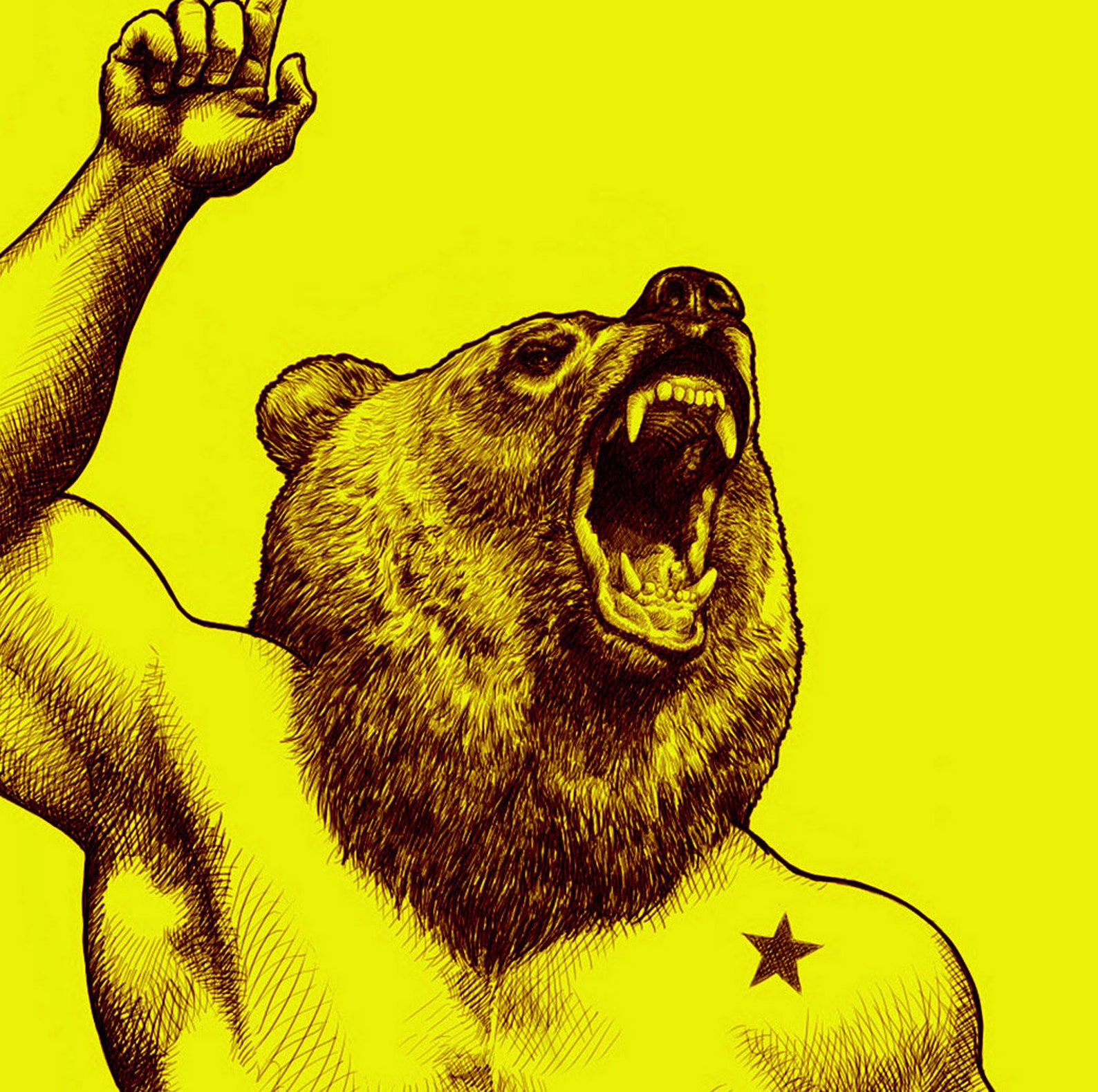 California bear jiu jitsu bjj judo and submissions Etsy