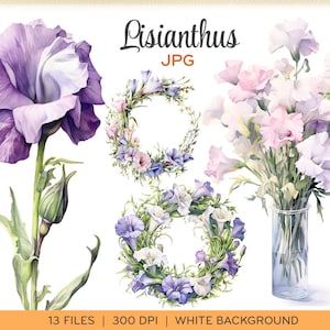 Aquarell Lisianthus ClipArt, JPGs, Eustoma weiß, Aquarell Prairie Enzian Blumen, weißer Hintergrund, sofort download. 0008TS