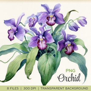 Aquarell Orchideen ClipArt, PNGs, lila Orchidee, violette Blumen, Spargel, transparenter Hintergrund, sofort download. 0011TS