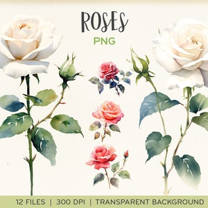 Watercolor roses clip art, PNGs, white and red watercolour roses, aquarelle flowers, trasnparent background, instant download. 0003TS