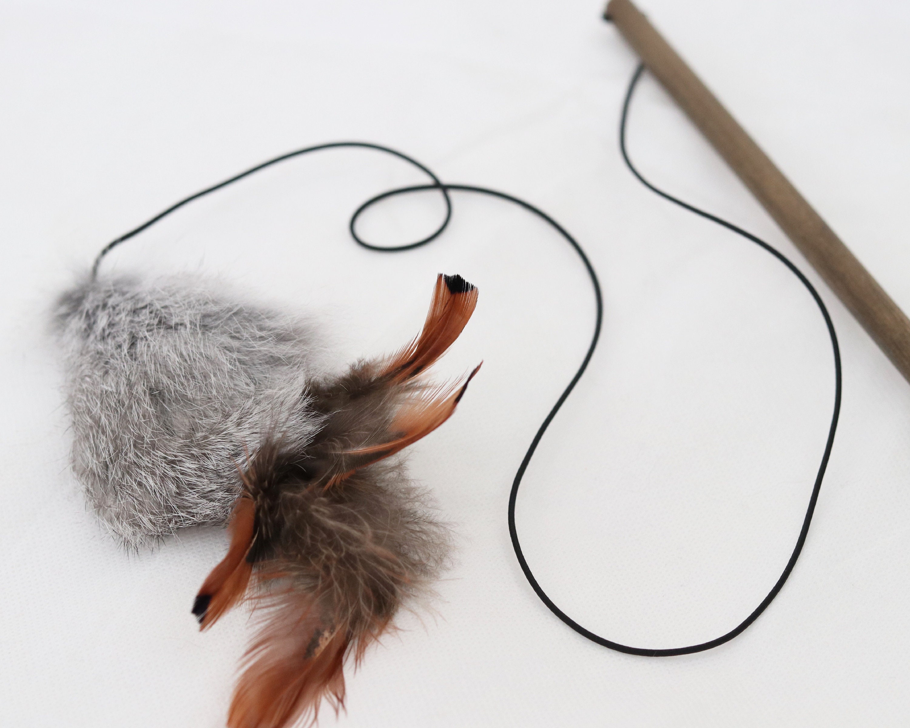 Teaser Mouse Cat Toy