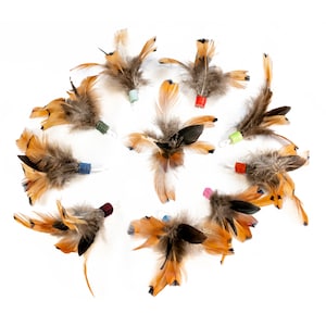 May include: A selection of cat toys crafted from brown, orange, and black feathers. Each toy features a coloured base, including blue, green, red, and pink. The toys are arranged in a circular pattern against a white backdrop.
