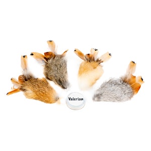 May include: Four catnip toys shaped like a cat's paw with feathers. The toys are arranged in a circle around a small jar labelled "Valerian".