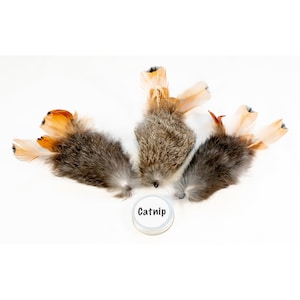May include: Three catnip toys with brown and orange feathers and grey fur. The toys are arranged in a triangular shape with the label "Catnip" in the centre.
