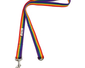 Rainbow double webbing dog lead