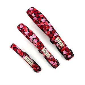 Love Hearts Print Dog Collar