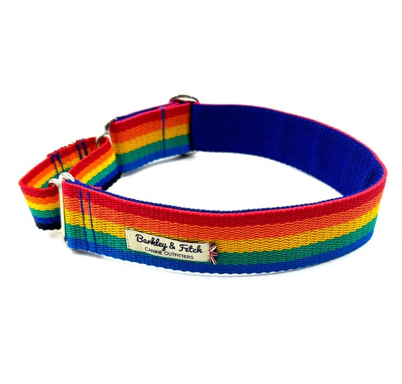Martingale Collar in Rainbow Webbing 1", 1.5" and 2"