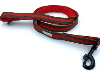 Double webbing Dog Lead with stripe