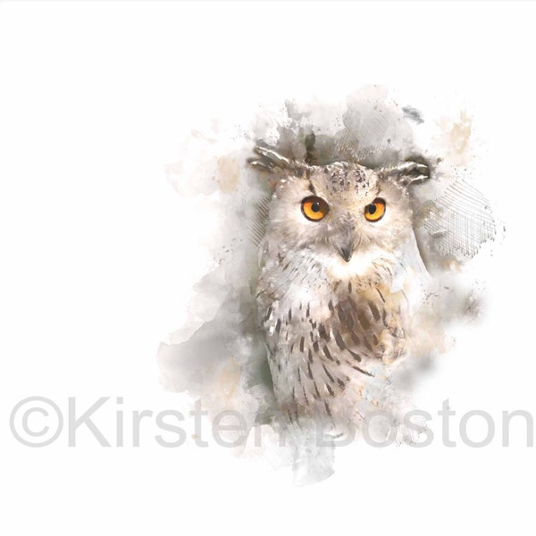 Owl Wall Art Etsy UK