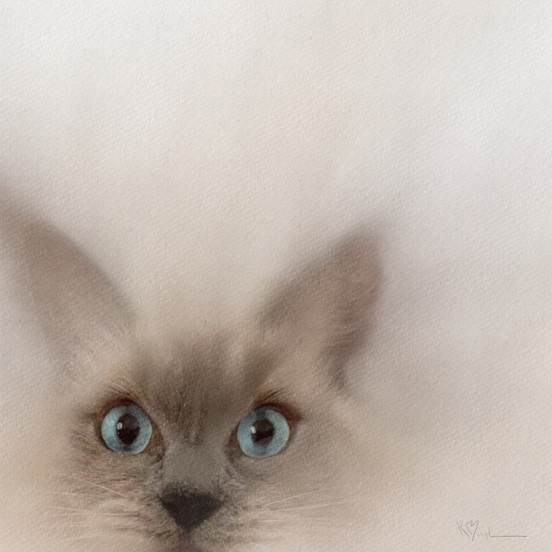 Ragdoll Cat painting Ragdoll print Ragdoll wall art cat Etsy