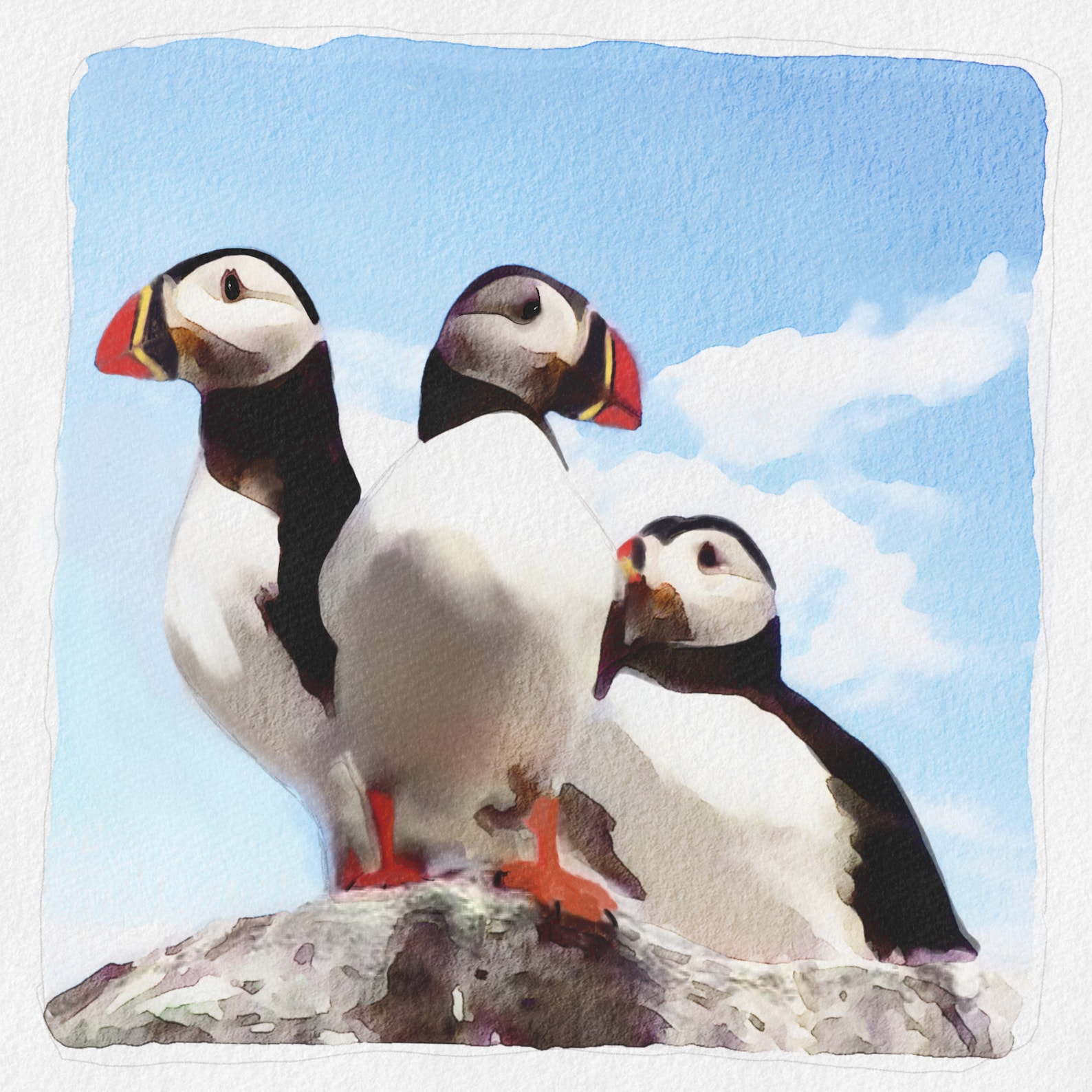 puffin-painting-puffin-print-atlantic-puffins-puffin-art-etsy