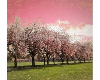 Cherry Blossom on the Meadows, Edinburgh Print, Cherry Blossom Print, Edinburgh Painting