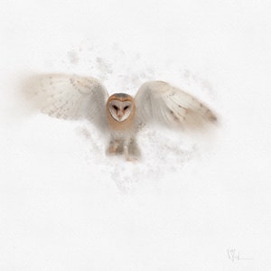 Barn Owl in Flight, Owl Painting, Owl Print, Owl Decor, Owl Watercolour
