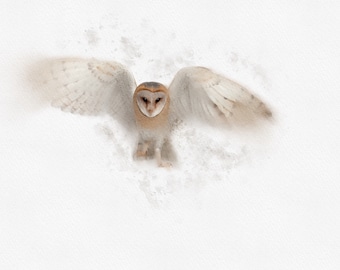 Barn Owl in Flight, Owl Painting, Owl Print, Owl Decor, Owl Watercolour