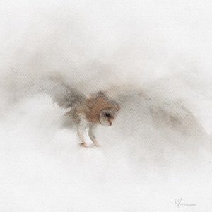 Elegant Barn Owl Watercolor Print - Wildlife Art, Barn Owl Coming in to land, Bird Painting, Nature-Inspired Decor