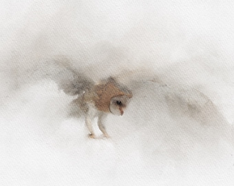 Barn Owl Coming in to Land, Owl Painting, Owl Print, Owl Decor, Owl Watercolour