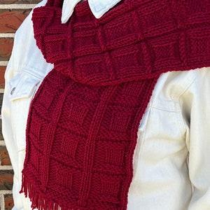 Könnte beinhalten: Ein roter gestrickter Schal mit einem karierten Muster und Fransen. Der Schal wird um den Hals einer Person getragen, die ein weißes Hemd trägt.