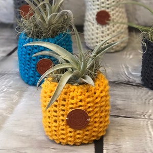May include: A set of four air plants in crocheted pots. The pots are in different colors, including yellow, blue, white, and gray. Each pot has a brown leather tag with the word "Plant" on it.