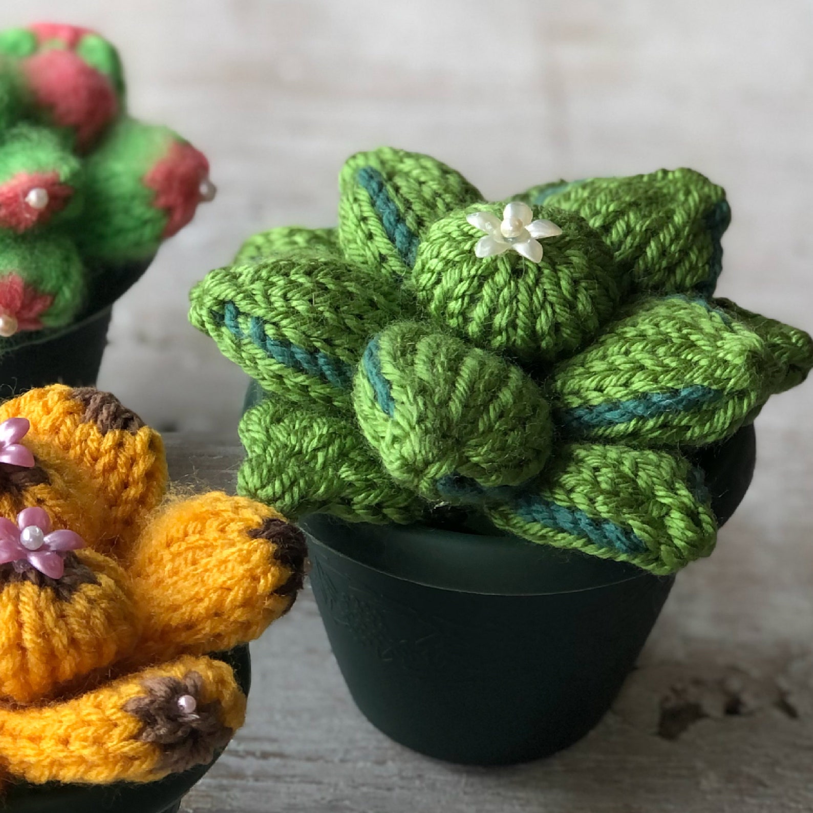 Loom Knit Pattern With Video Succulent Cactus Plant EASY & Etsy