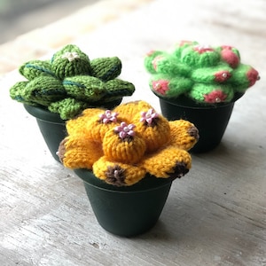 Loom Knit Pattern with Video Succulent Cactus Plant  EASY & Quick on 12 peg Round Loom | Use Scrap Yarn |  by Loomahat