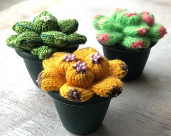 Loom Knit Pattern with Video Succulent Cactus Plant  EASY & Quick on 12 peg Round Loom | Use Scrap Yarn |  by Loomahat