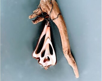 Halved Shell and Wood - Wish You Were Here