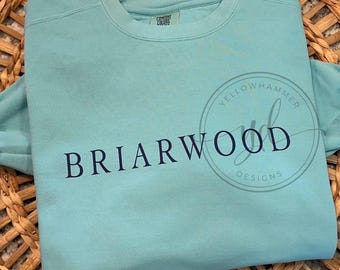 Bluza Briarwood school Comfort Colors w kolorze kredowej mięty, koszula Briarwood, komfortowe kolory, koszulka z nadrukiem szkolnym