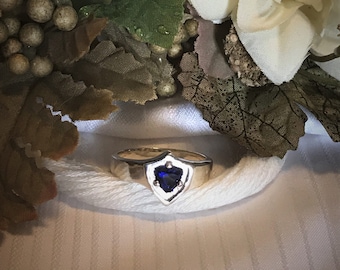 Sparkling Men's Blue Sapphire Ring ~ 925 Sterling Silver ~ Size 10