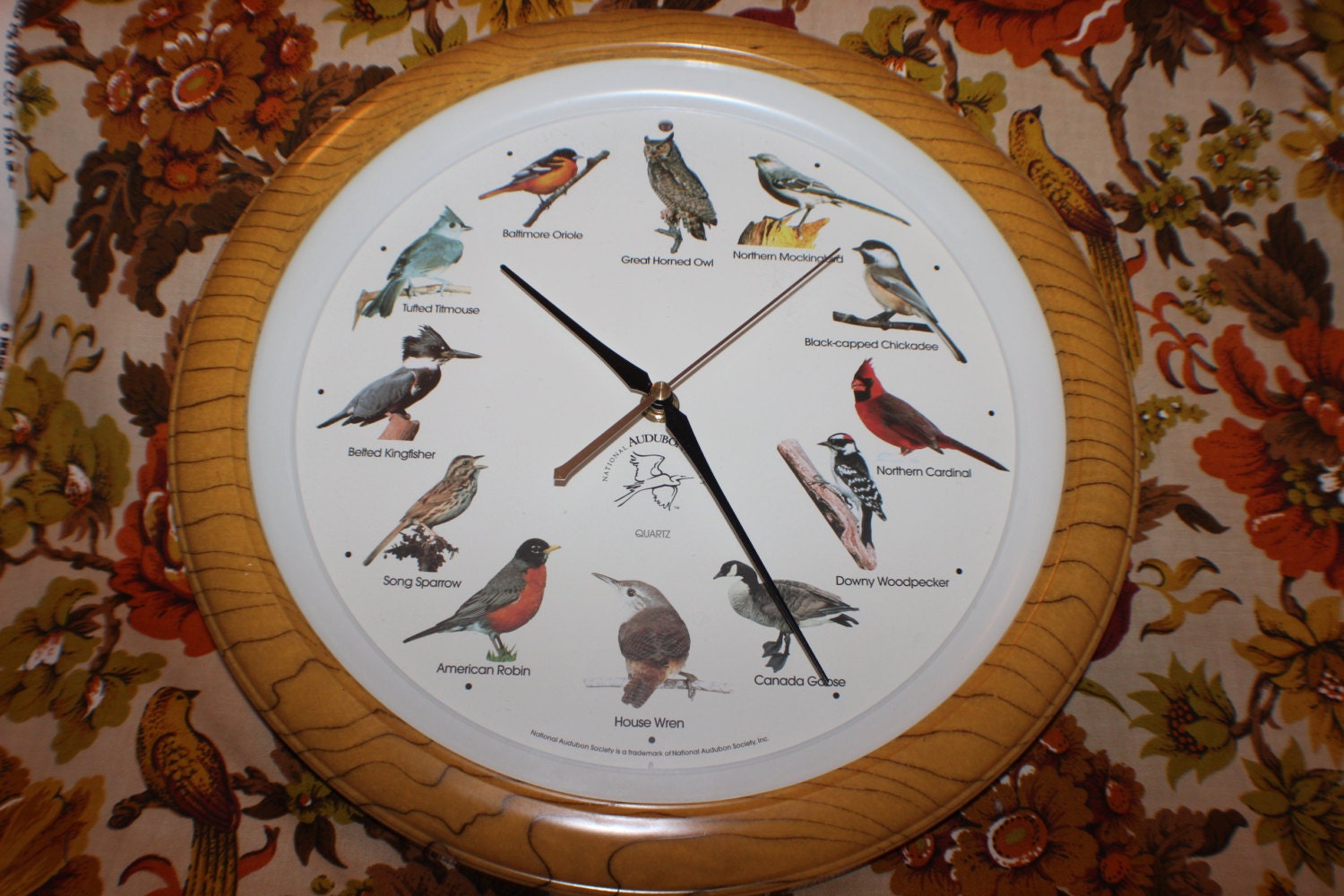National Audubon Society Singing Bird Clock Plays Bird Song Etsy