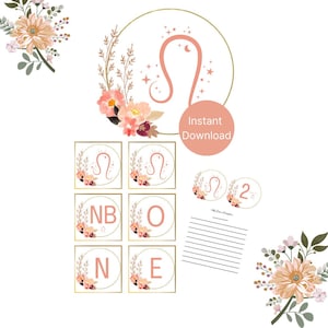 Leo Born Girl Primer Cumpleaños Milestone Banner Set, Recién Nacido a 12 Meses Banner, Banner "ONE", Cuadrados de 3x3 pulgadas, Cumpleaños, Niña