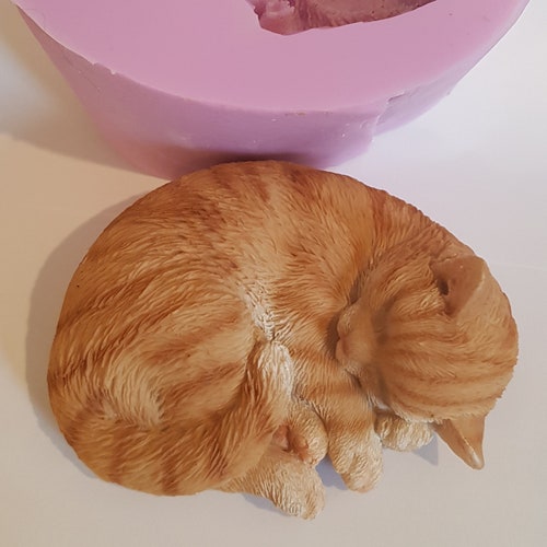 sleeping cat cake