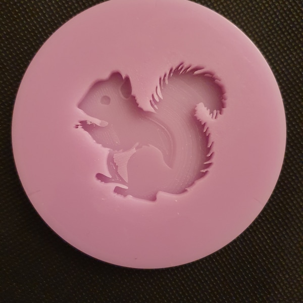 Small squirrel Food Safe Silicone Mould for cake toppers, fondant, resin etc