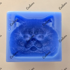 May include: Blue silicone mould for making a cat face shaped cake or soap. The mould is detailed with fur and facial features.