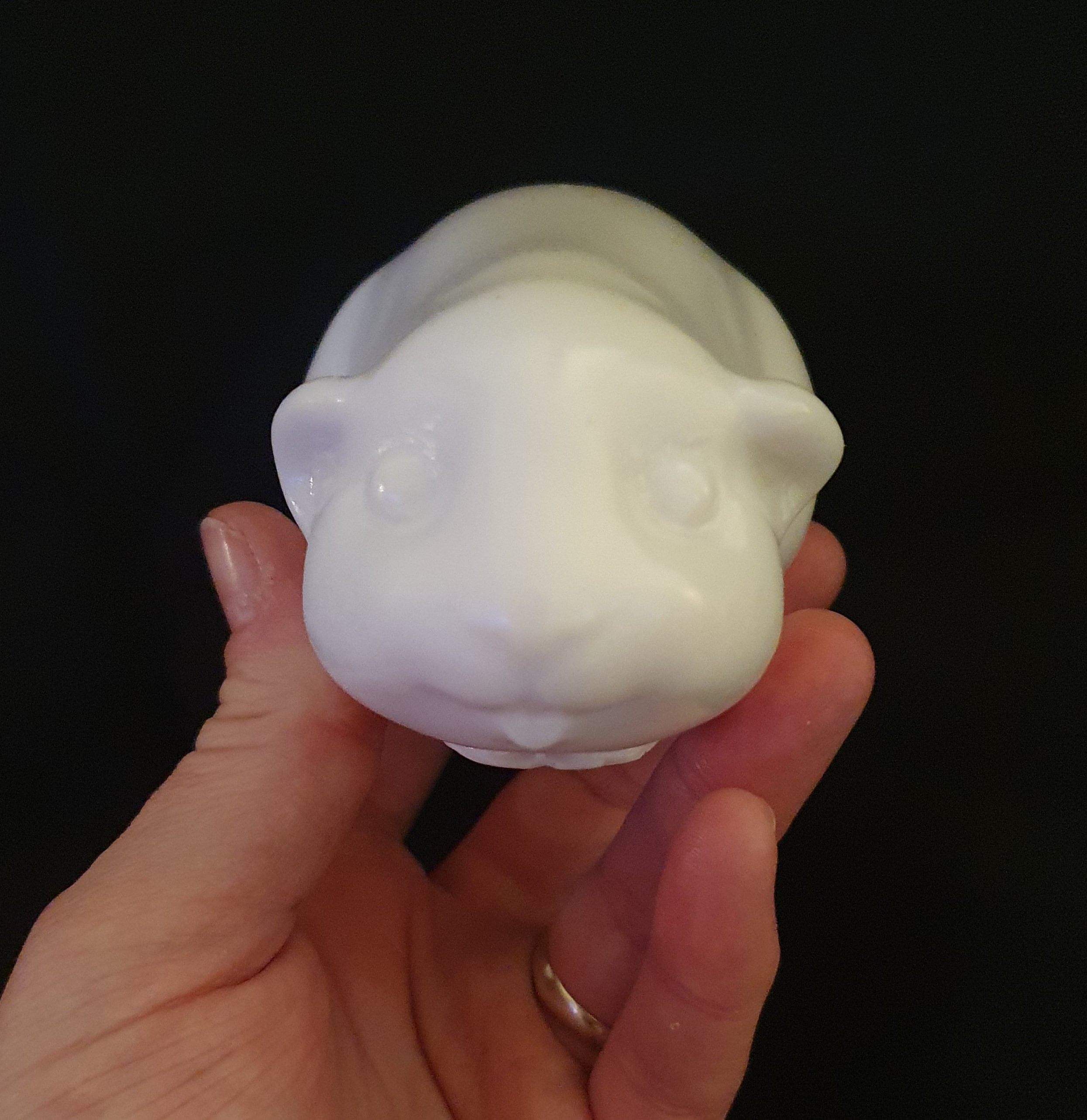 Guinea Pig 3d Food Safe Silicone Mould for cake toppers Etsy