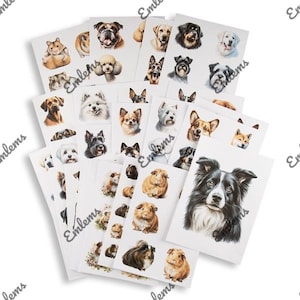 Emlems Pet Portrait Craft Papers A4 160 g/m² x 50 animali domestici, cani, gatti, porcellini d'India, criceti, conigli, pappagalli, cavalli. Tecnica mista, realizzazione di cartoline