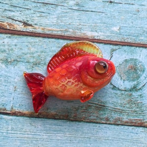 Puede incluir: Un pequeño pez de vidrio rojo con una aleta amarilla y naranja y un solo ojo grande marrón. El pez está sentado sobre una superficie de madera azul.
