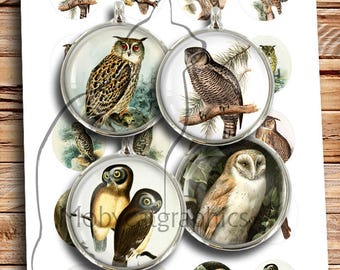 Vintage Owls 10mm 12mm 14mm 16mm Printable Images Digital Cabochon Digital Collage Sheet- Instant Download