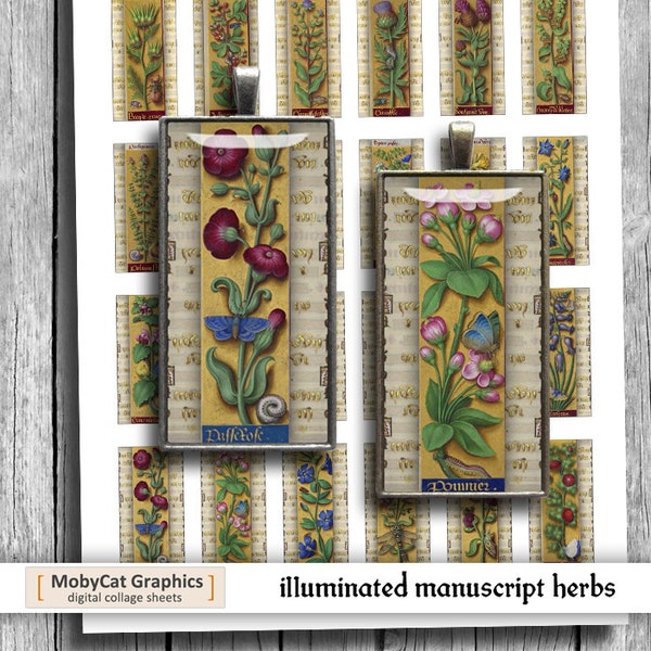 Illuminated Manuscript Herbs and Flowers Domino Images 1x2 inch Digital Collage Sheet - Instant Download