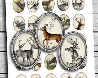 Hoja de collage digital de animales del bosque Ciervo (30 x 40, 22 x 30, 18 x 25, 13 x 18) Cabujón digital ovalado imprimible